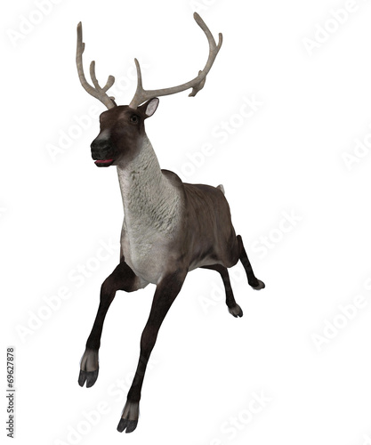 Cuadro en lienzo 3d Reindeer