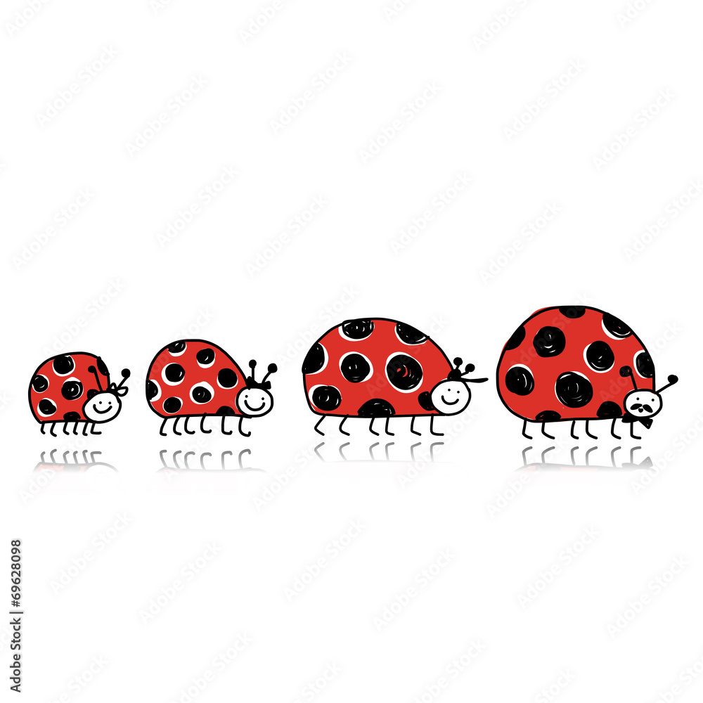 Fototapeta premium Ladybird family for your design