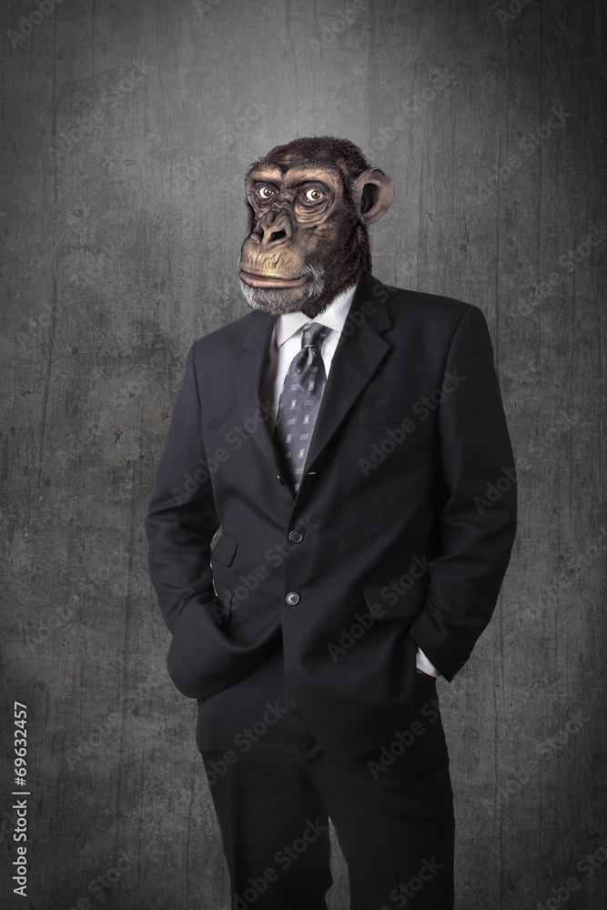 Monkey businessman Stock Photo Adobe Stock