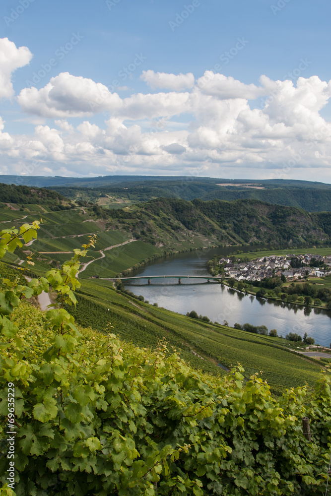 Naklejka premium Mosel