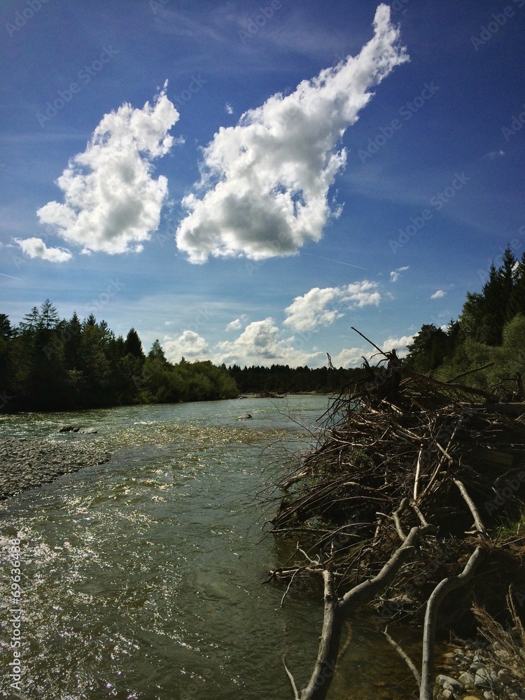Gehölz und Treibgut am Ufer der Isar Gehölz und Treibgut am Ufer der Isar