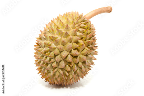 Asian tropical fruit known as Durian  over white background