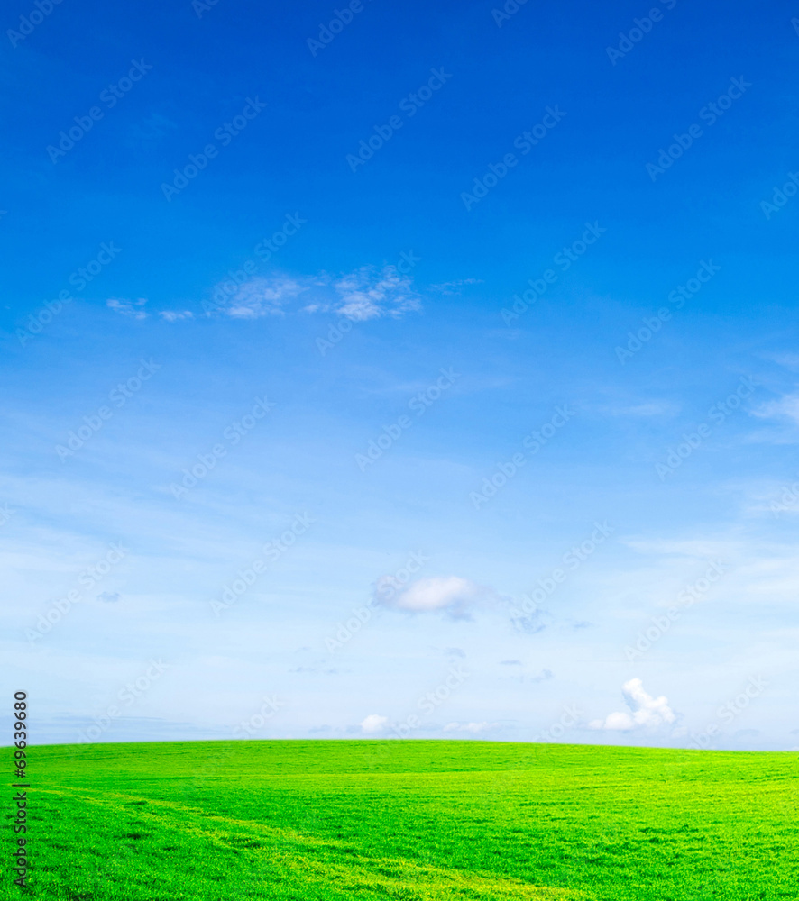 Fototapeta premium field