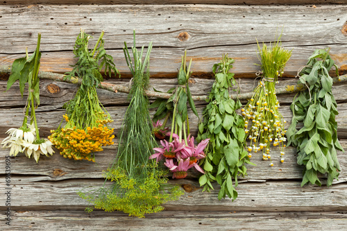 Medical herbs