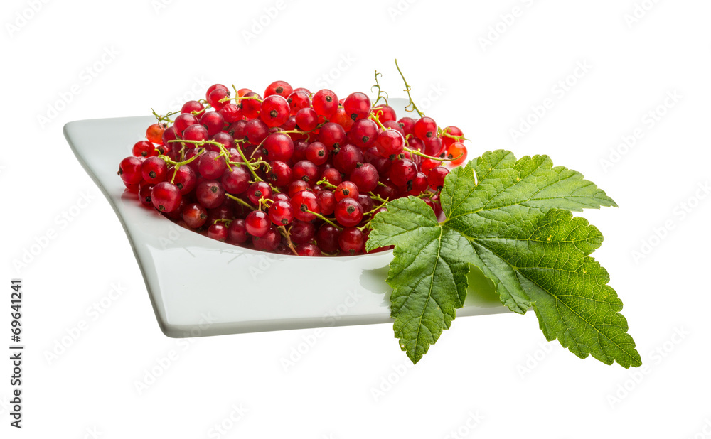 Red currant Red currant