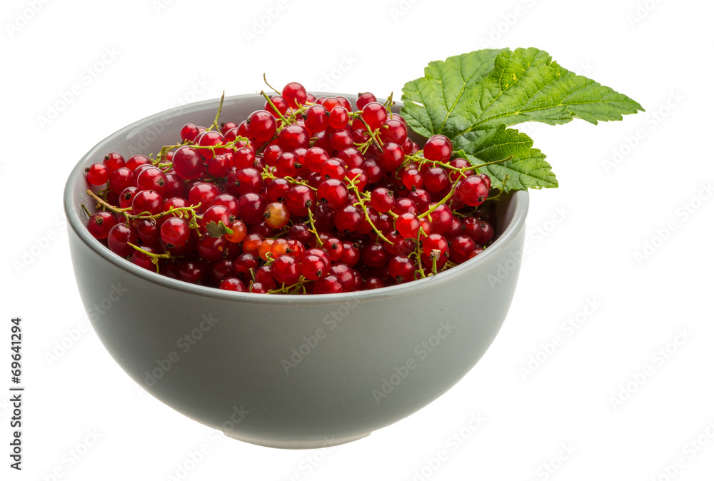 Red currant Red currant
