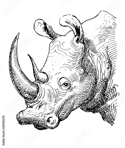 artwork rhinoceros, sketch black and white drawing