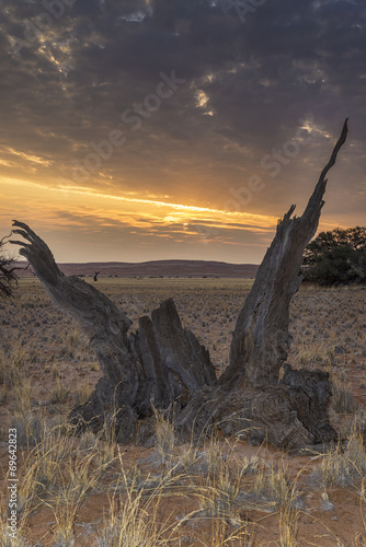 Tramonto namibiano © Nikokvfrmoto