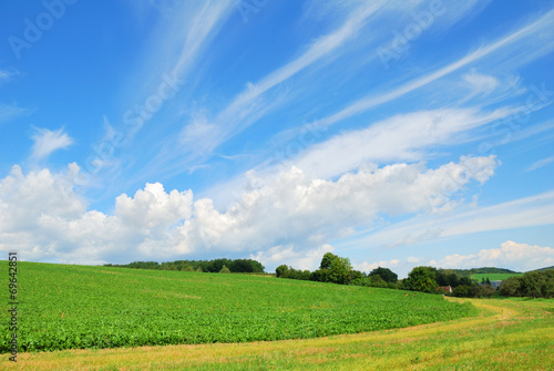 Countryside farm field landscape with blue sky
