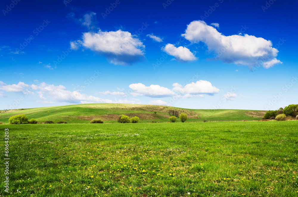 green field background green field background