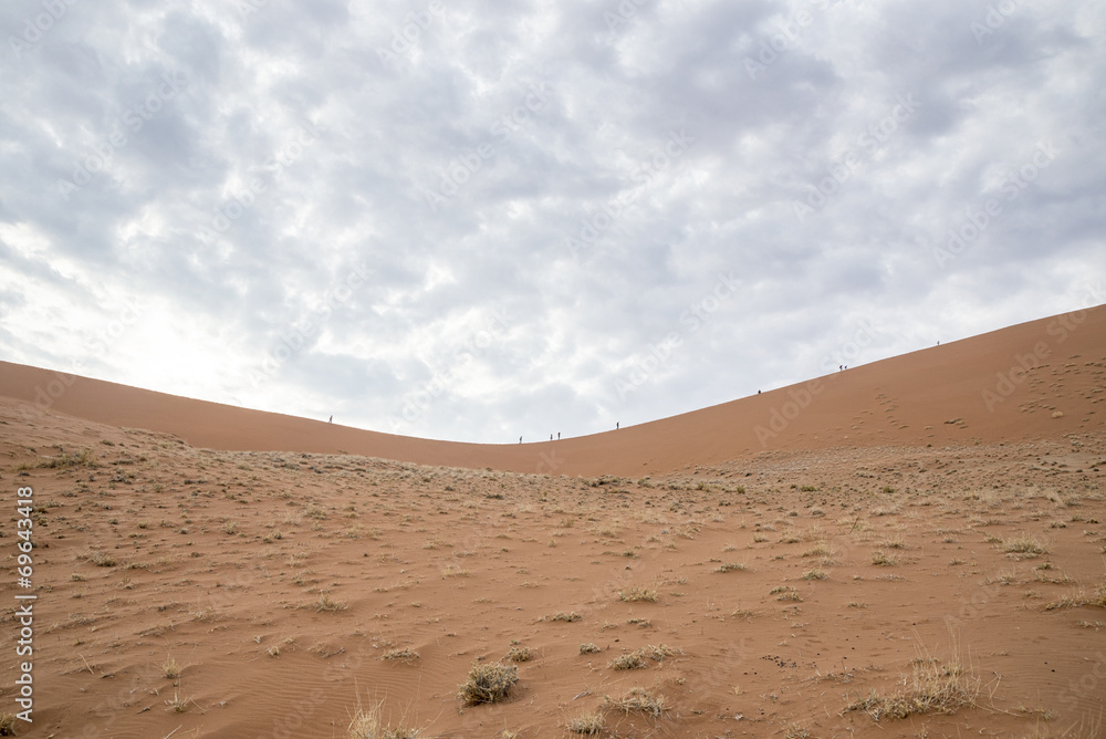 Deserto del namib