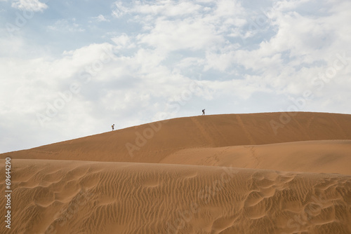 Deserto del namib