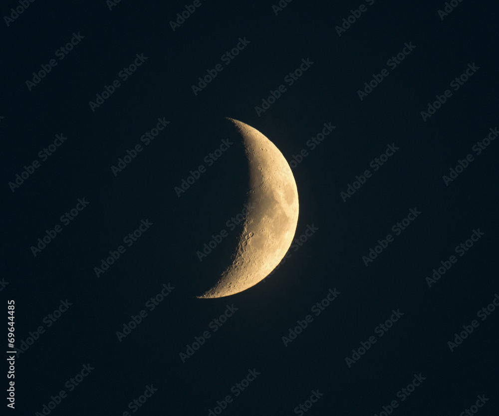 Naklejka premium Crescent Moon