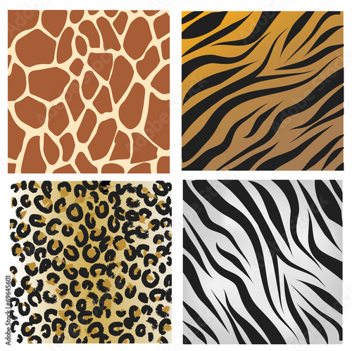 WIld african animals pattern set vector