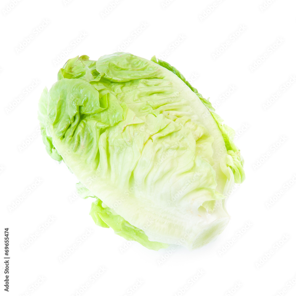 Green Iceberg lettuce on White Background Green Iceberg lettuce on White Background