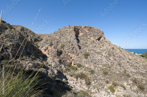 Alpha grass, Stipa tenacissima, steppe in Alicante, Spain photo