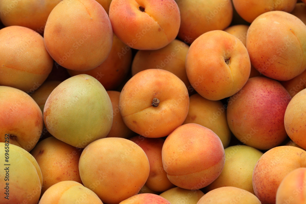 Apricots Apricots
