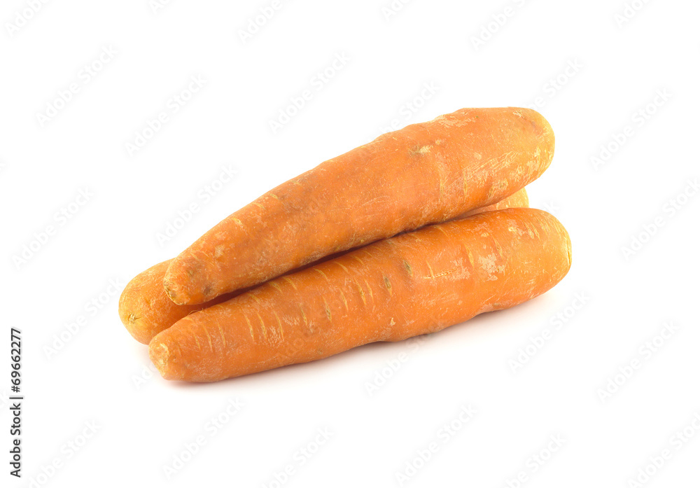 Three ripe washed fresh red carrots isolated closeup