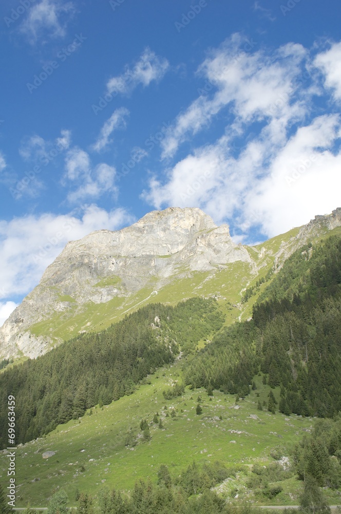 Fototapeta premium les alpages dans la vanoise