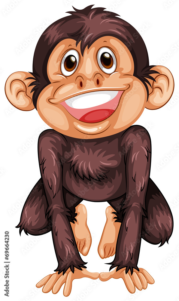 Fototapeta premium Chimpanzee
