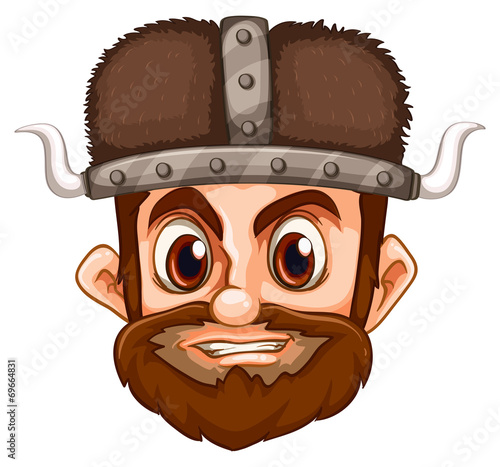 Viking face