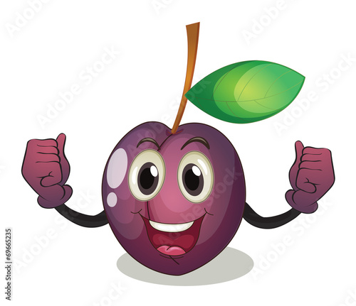 Fruit