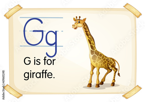 Letter G