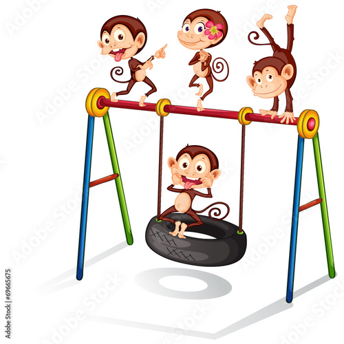 Monkeys and swing