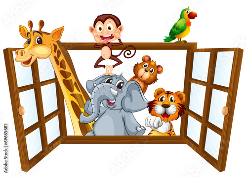 Animals and window