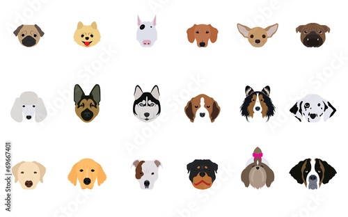 Fototapeta Naklejka Na Ścianę i Meble -  Set of Head Dogs Vectors and Icons