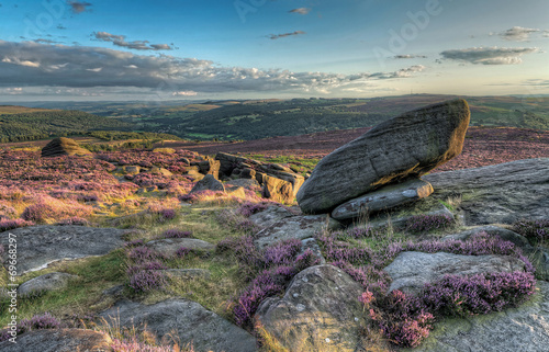 Canvas Print Sunset at Moorland, Heather in bloom over the rugged moor