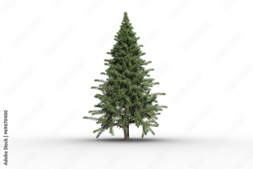 Fototapeta premium Digitally generated green fir tree