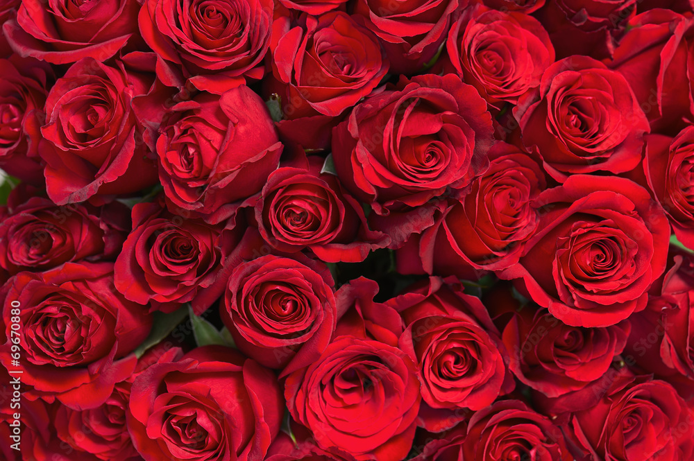 Naklejka premium Kolorowy kwiatu bukiet od czerwonych róż dla use jako tło.