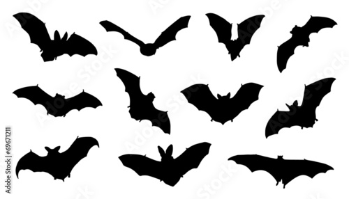 Fotografia bat silhouettes