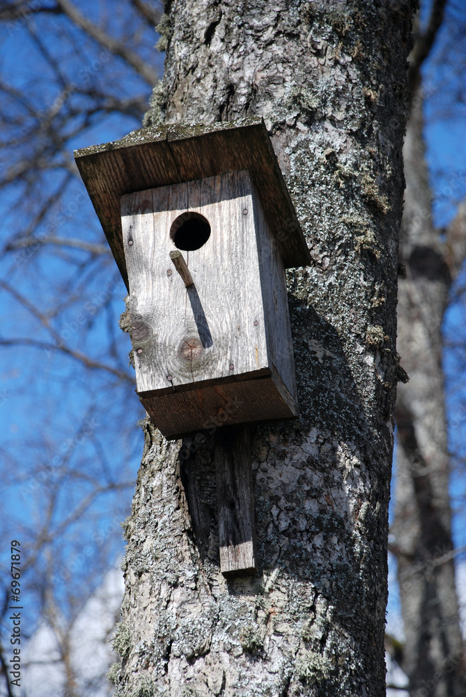 Bird house Bird house