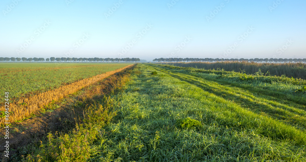Tracks along a field at sunrise in summer