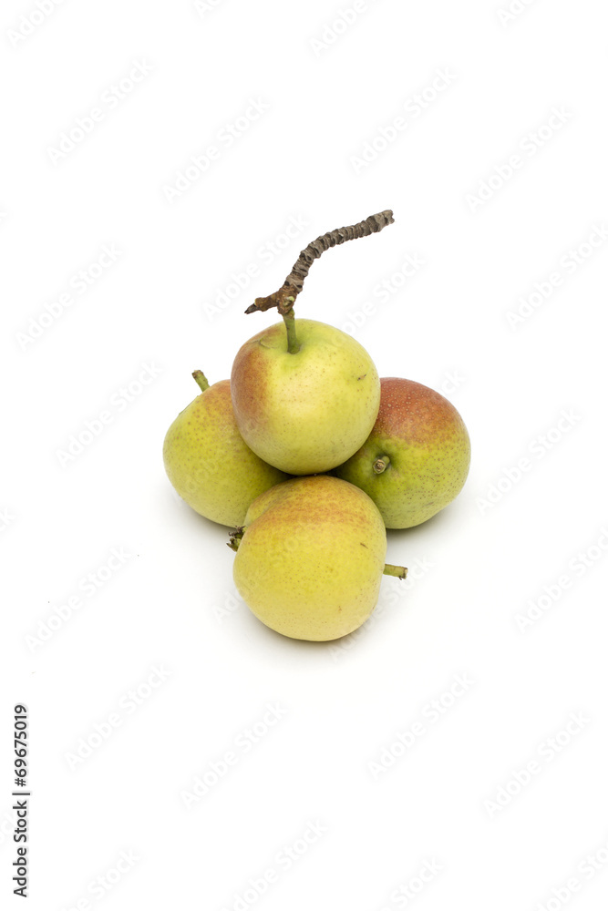 pear on the white background pear on the white background