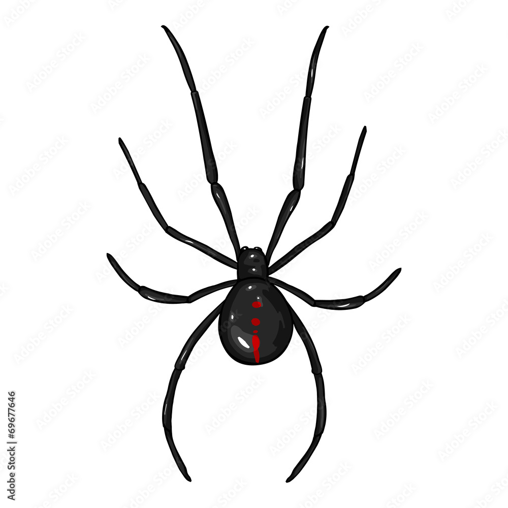 Vector Cartoon Black Widow Spider Vector Cartoon Black Widow Spider