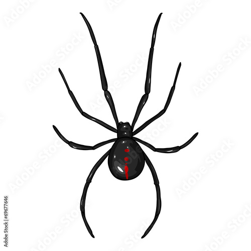 Vector Cartoon Black Widow Spider