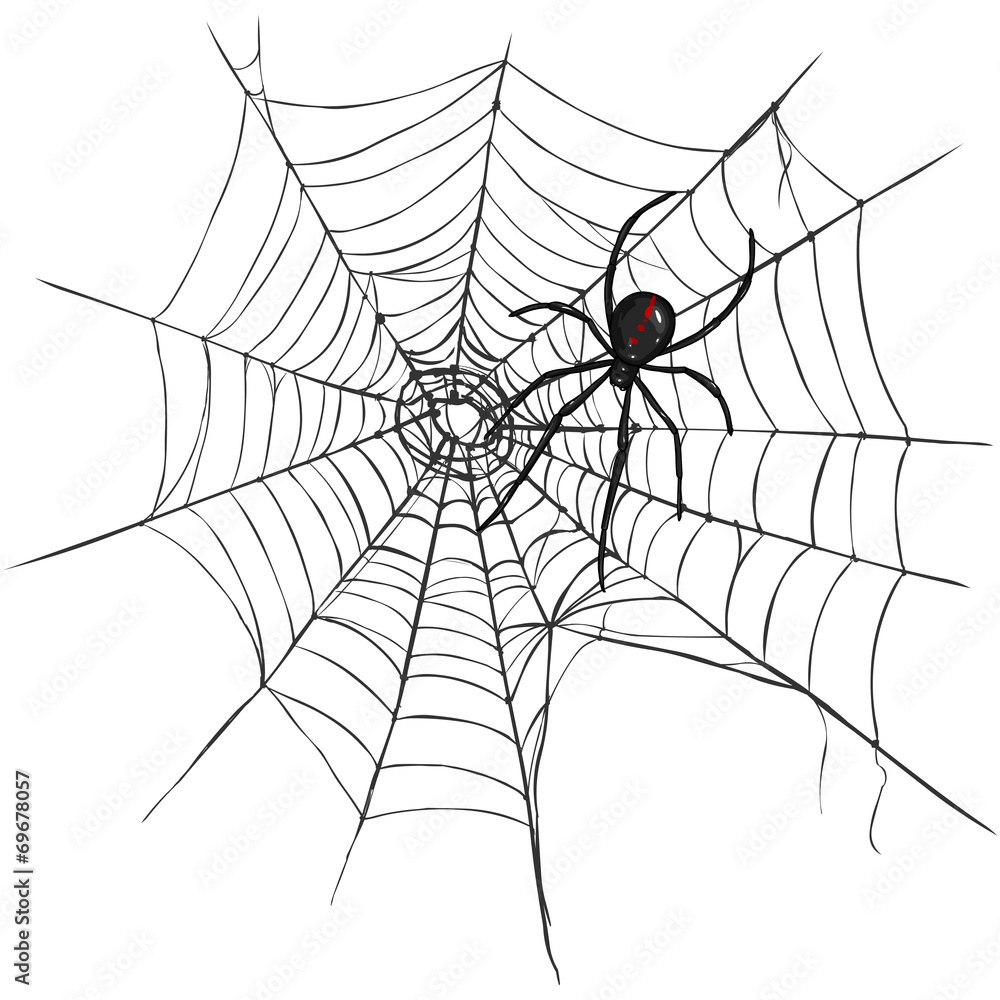 Vector Black Widow Spider on Spider's Web. Stock Vector | Adobe Stock