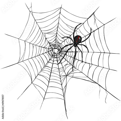 Vector Black Widow Spider on Spider's Web.