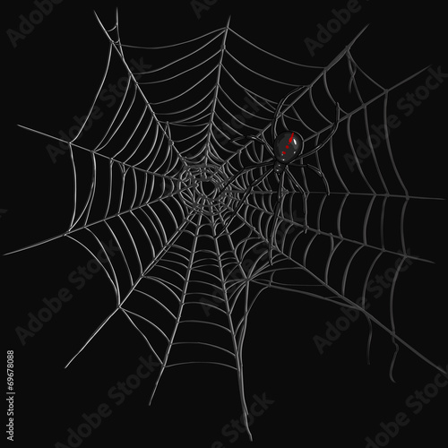 Vector Black Widow Spider on Spider's Web