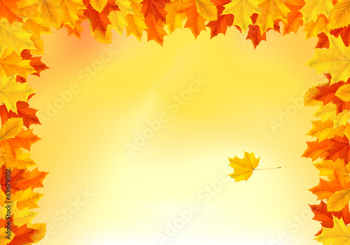 Hintergrund Herbst - bunte Bl  tter