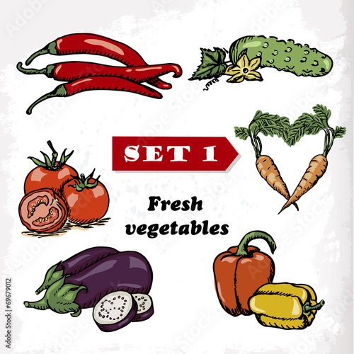 Set 1 Fresh vegetables. Vector illustration