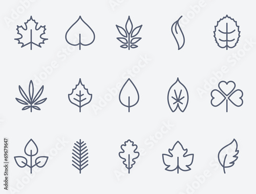 Leaf icon set
