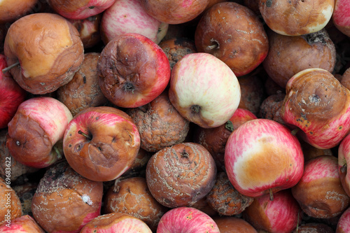 Foto Rotten Apples