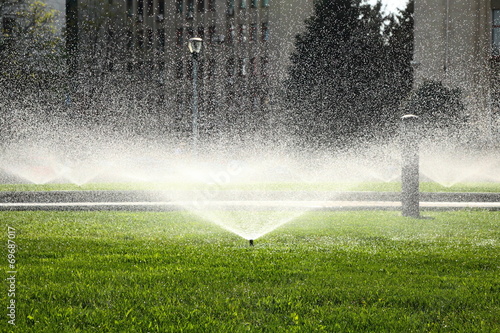 garden sprinkler on the green lawn