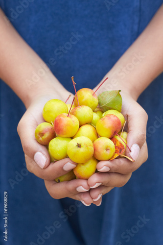 Close Up Of Woman Holding Crab Apples