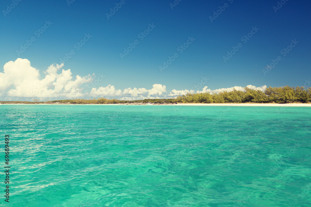 blue sea or ocean, beach and forest