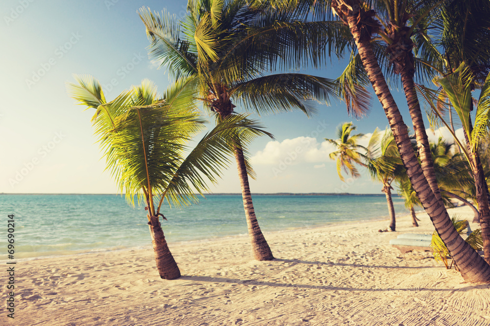 Naklejka premium tropical beach with palm trees